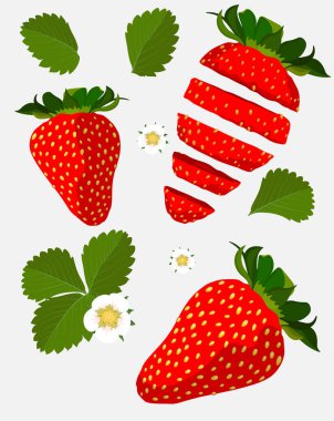 Taze ilkbahar çilek seti 