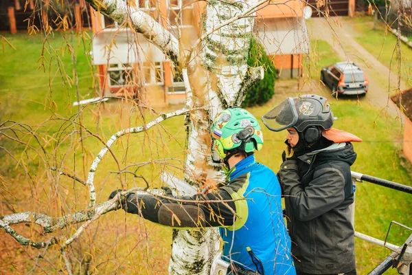 Rusia Pushkino Noviembre 2021 Arborista Una Cuna Automática Una Altura — Foto de Stock