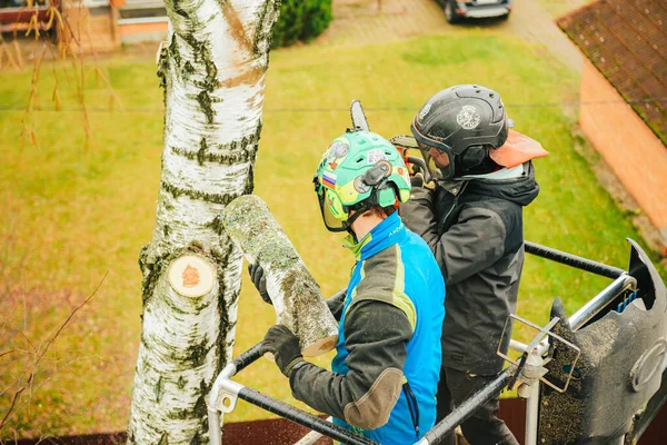 Rusia Pushkino Noviembre 2021 Arborista Una Cuna Automática Una Altura — Foto de Stock