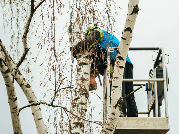 Росія Пушкіно Листопада 2021 Року Митець Автоматичній Колисці Висоті Обрізає — стокове фото