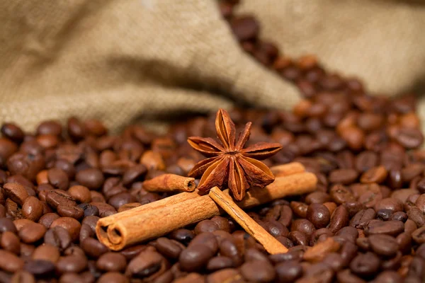 Mountain lake of coffee beans and cinnamon sticks in a boat — Stock Photo, Image