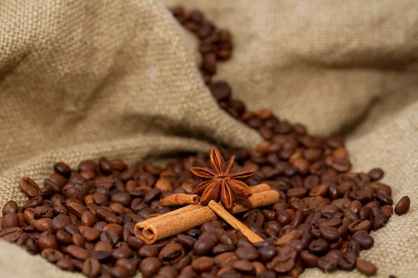 Mountain lake of coffee beans and cinnamon sticks in a boat — Stock Photo, Image