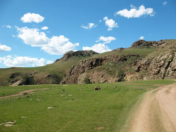 Estrada de estepe da Mongólia que conduz às montanhas — Fotografia de Stock