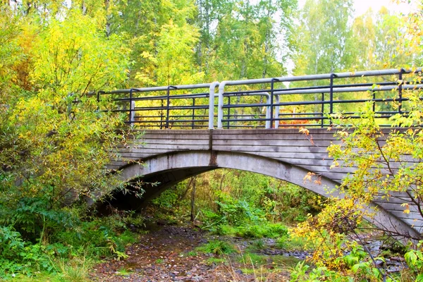 Puente peatonal sobre un pequeño arroyo en el parque nacional, la región de Krasnoyarsk —  Fotos de Stock