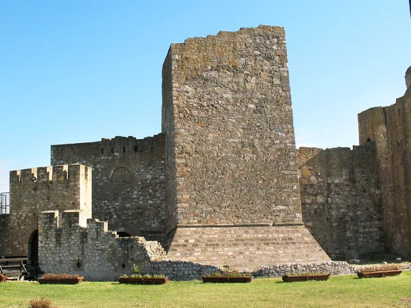 กําแพงของป้อมยุคกลางในเมือง Smederevo, เซอร์เบีย — ภาพถ่ายสต็อก