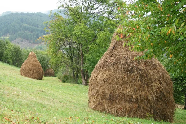 Haystacks on the hillside with green grass — Stock Photo, Image