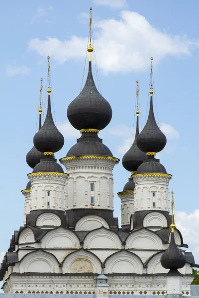 Suzdal、ロシアで黒いドーム ラザレフスコエ教会 — ストック写真