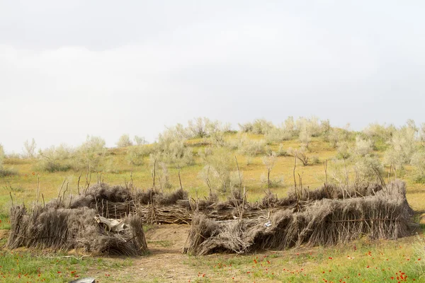 Develer çöl için ağıl — Stok fotoğraf