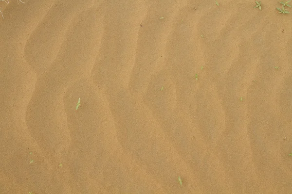 Fond de sable jaune — Photo