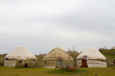 Özbekistan kyzylkum çölde kazak yurt