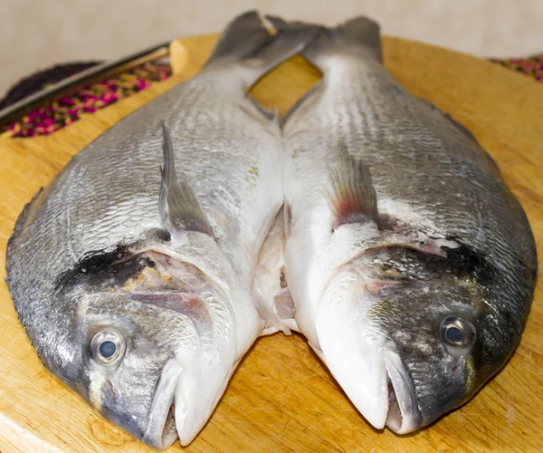 Two gutted fish dorado — Stock Photo, Image