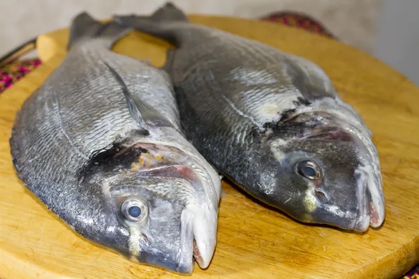 Deux poissons éviscérés dorado — Photo