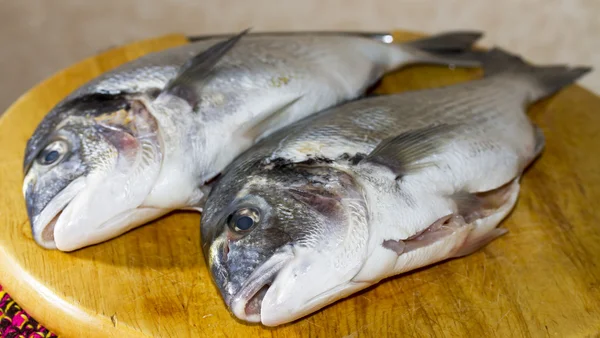 Dvě vykuchané ryby dorado — Stock fotografie