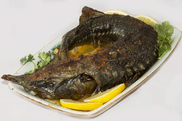 Sturgeon baked on a platter with lemon and parsley — Stock Photo, Image