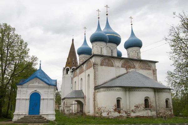 Katedral içinde gorohovets duyuru — Stok fotoğraf