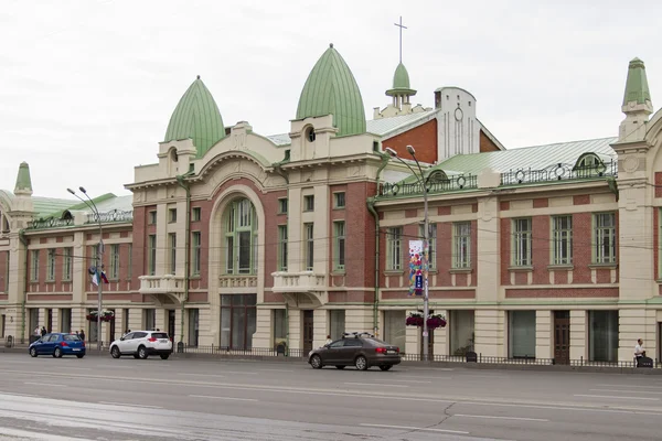 Novosibirskin aluetutkimuksen museo — kuvapankkivalokuva