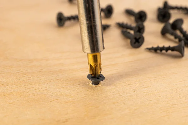 Schrauben Sie Mit Einem Schraubenzieher Eine Schwarze Selbstschneidende Schraube Ein — Stockfoto