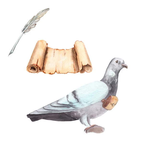 Watercolor Set Drawings Theme Post Office Carrier Pigeon Scroll Manuscript — Stock Photo, Image