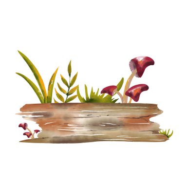 watercolor mushrooms vector drawing illustration isolated on white background log and grass