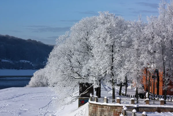 Zima w kaunas, Litwa — Zdjęcie stockowe