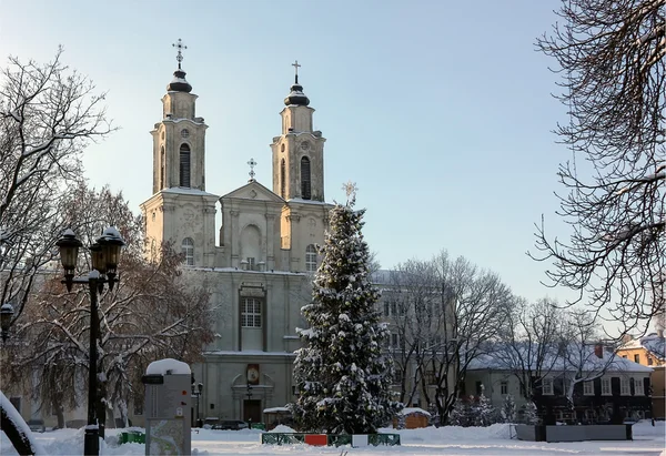 Church of St. Francis Xavier, Kaunas — Stock Photo, Image