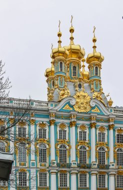 Tsarskoye selo, Rusya Federasyonu