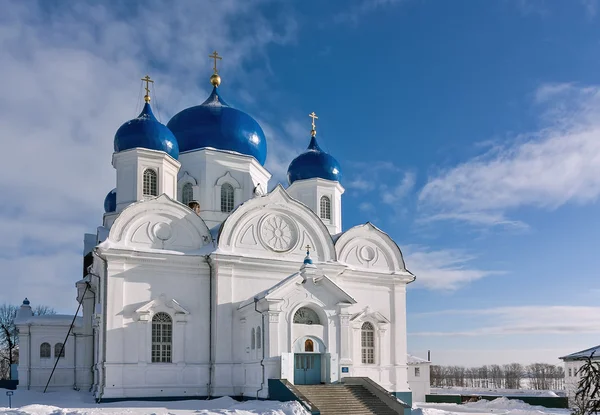 Свято-Боголюбовский монастырь — стоковое фото