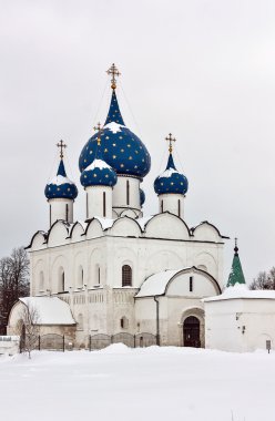 Doğuş suzdal, Rusya da Cathedral