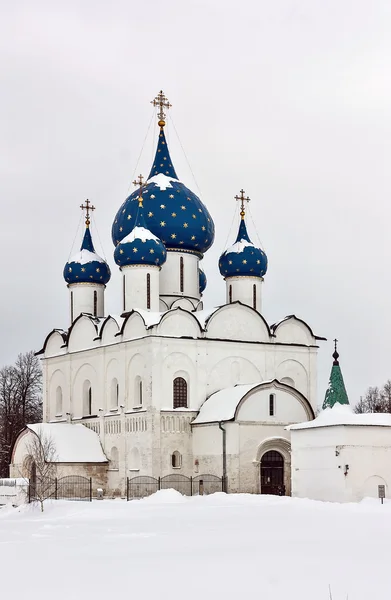 Καθεδρικός ναός της γεννήσεως σε suzdal, Ρωσία — Φωτογραφία Αρχείου