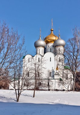 Novodevichy Manastırı, moscow, Rusya Federasyonu