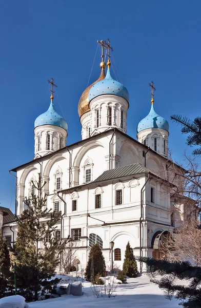 Novospassky 修道院，莫斯科，俄罗斯 — 图库照片