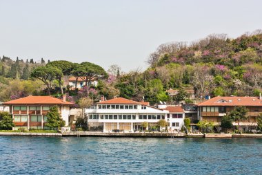 Boğaz boğaz, Türkiye