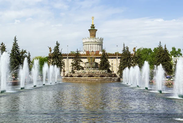 Flor de pedra da fonte, Moscou — Fotografia de Stock