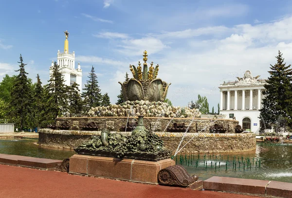 喷泉石花卉莫斯科 — 图库照片
