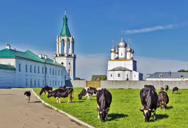 Klasztor Spaso-yakovlevsky, rostov — Zdjęcie stockowe