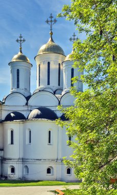 başkalaşım kurtarıcı Manastırı, yaroslavl