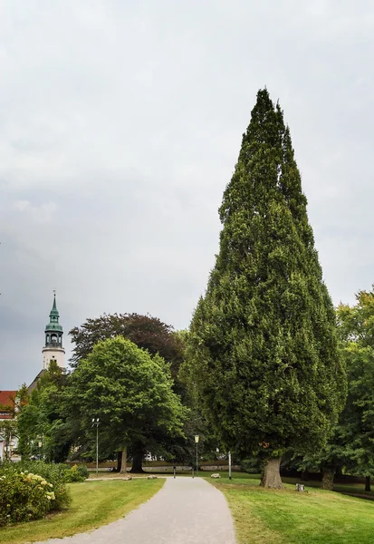 Celle castle park, Germany — Stock Photo, Image