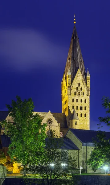 Paderborn Katedrali, Almanya — Stok fotoğraf