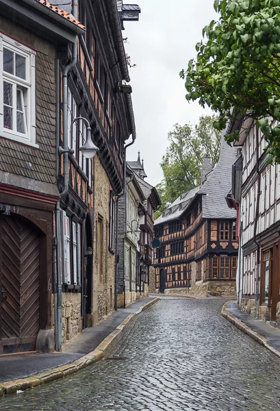 Sokakta goslar, Almanya — Stok fotoğraf