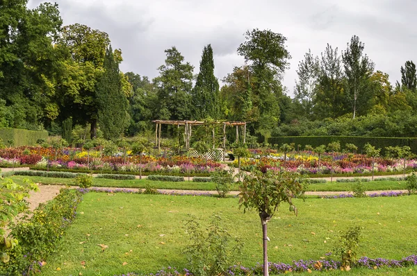 Flower garden in Sanssouci Park, Potsdam, Germany — Stock Photo, Image