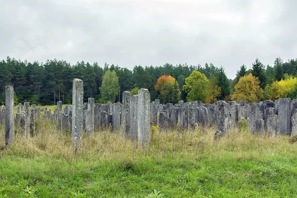 Старе єврейське кладовище, Броди, Україна — стокове фото