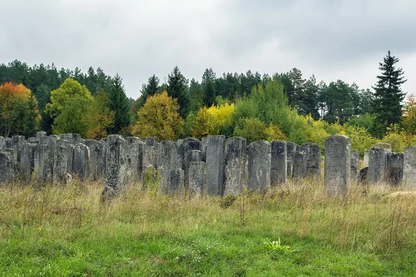 Старе єврейське кладовище, Броди, Україна — стокове фото