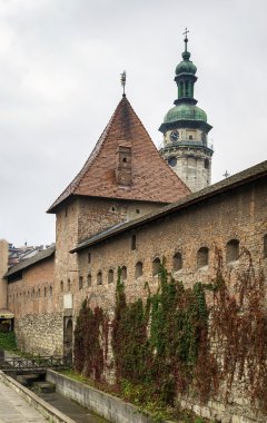 Bernardine Manastırı, lviv, Ukrayna