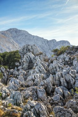 Bavyera Alpleri, Almanya