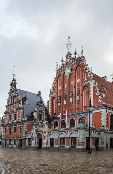 Brödraskap av pormaskar byggnad, riga — Stockfoto