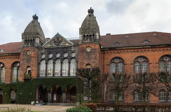 Koninklijke Bibliotheek, Kopenhagen — Stockfoto