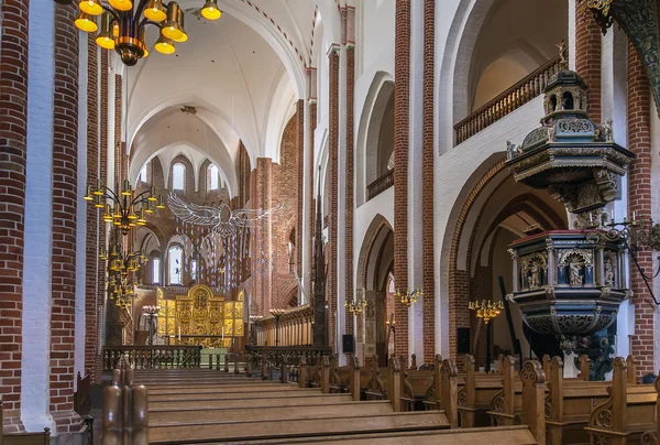 Roskilden katedraali, Tanska — kuvapankkivalokuva