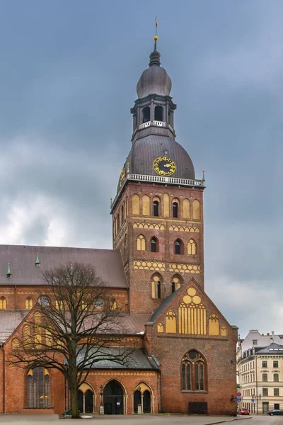 Rigas Katedral Den Evangelisk Lutherska Katedralen Riga Lettland Och Anses — Stockfoto