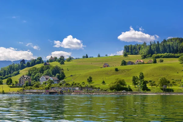 Lanskap Dengan Pantai Danau Zurich Swiss — Stok Foto