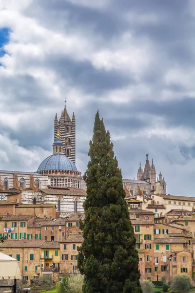 Siena Katedrali Ile Siena Manzarası Talya — Stok fotoğraf